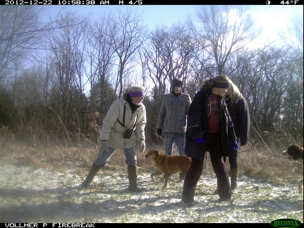 Full Size Image = 965 K