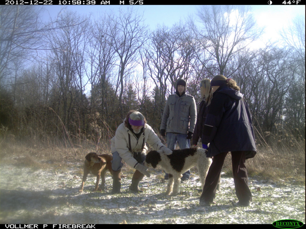 Full Size Image = 963 K