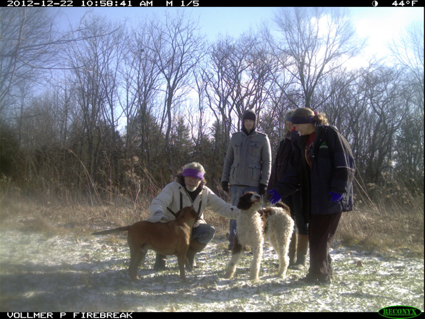 Full Size Image = 966 K