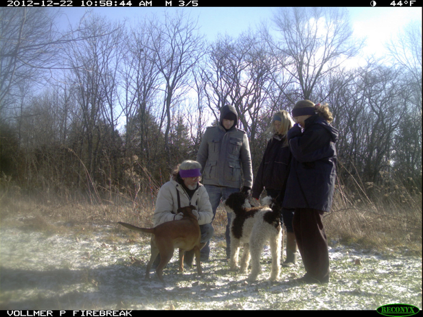 Full Size Image = 958 K