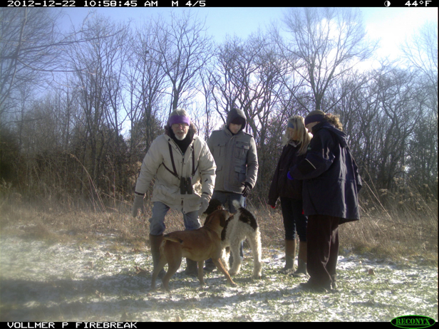 Full Size Image = 959 K