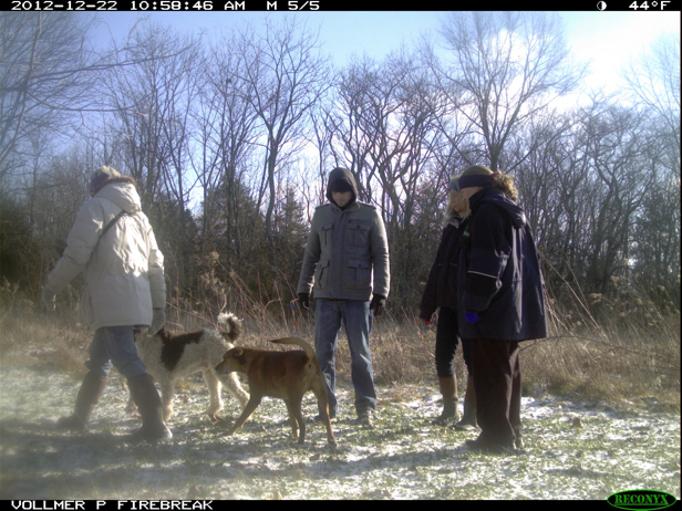 Full Size Image = 969 K