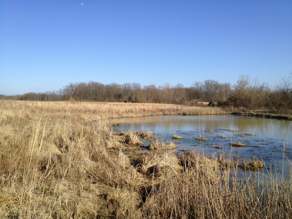 Full Size Image = 3259 K