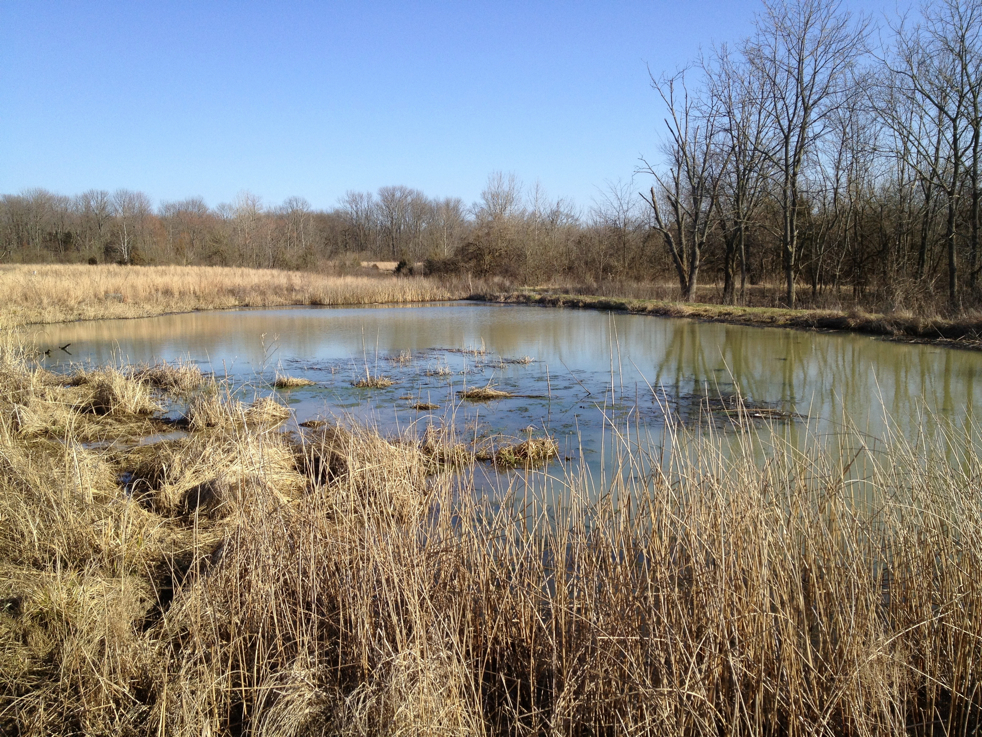 Full Size Image = 3744 K