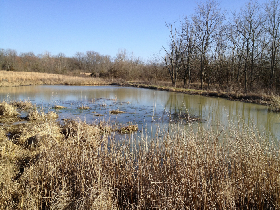 Full Size Image = 3851 K