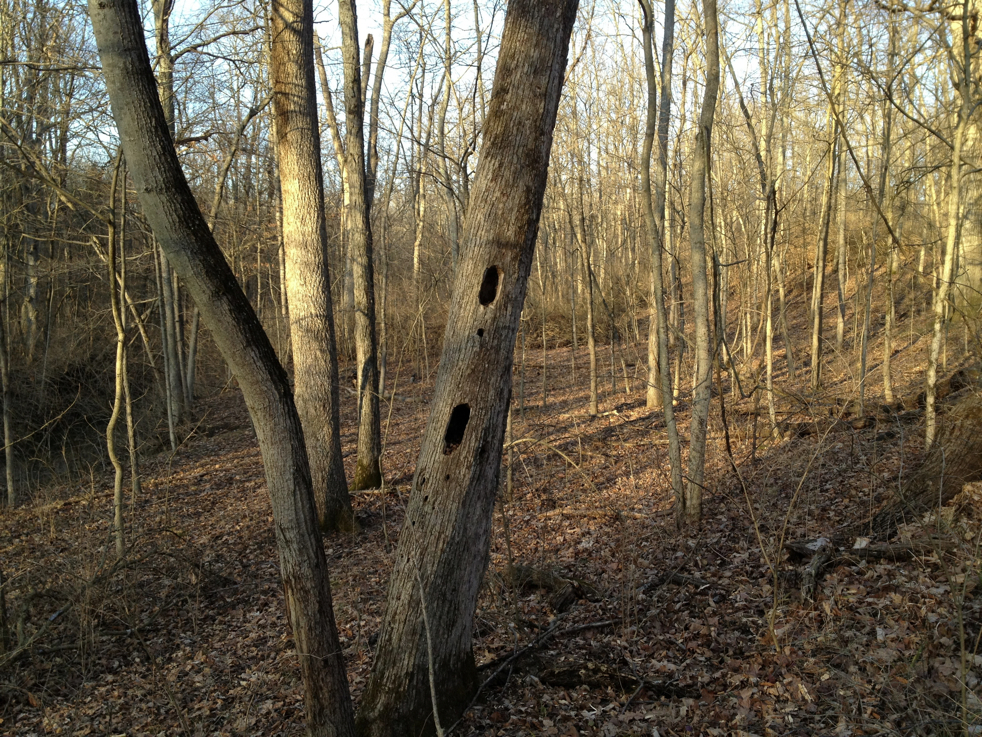 Full Size Image = 3864 K