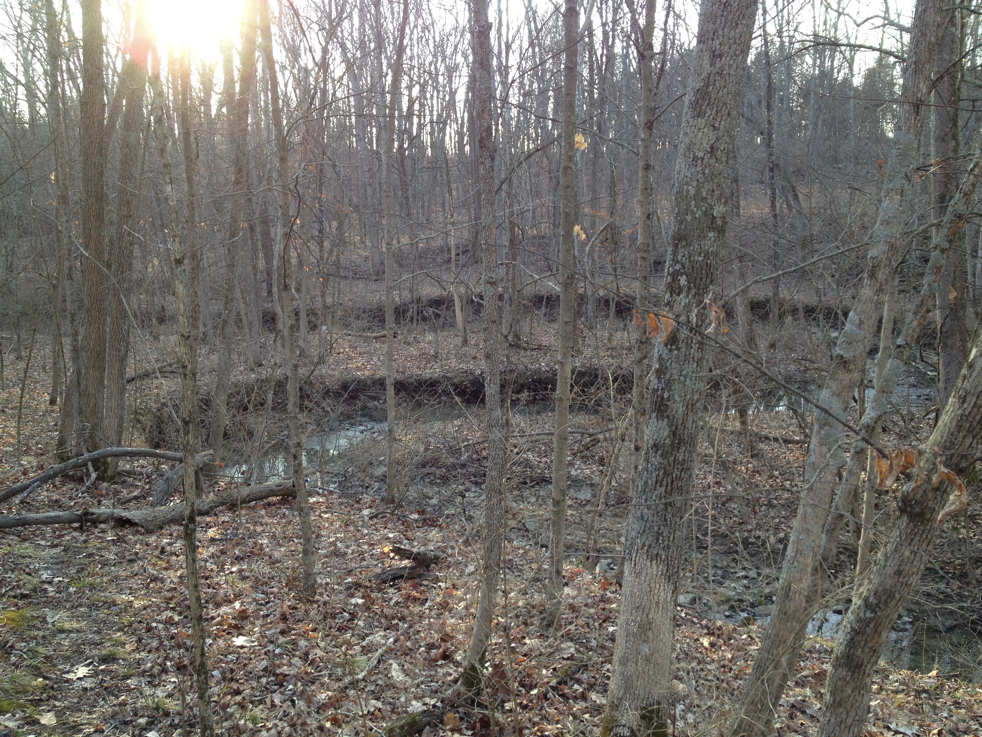 Full Size Image = 3720 K