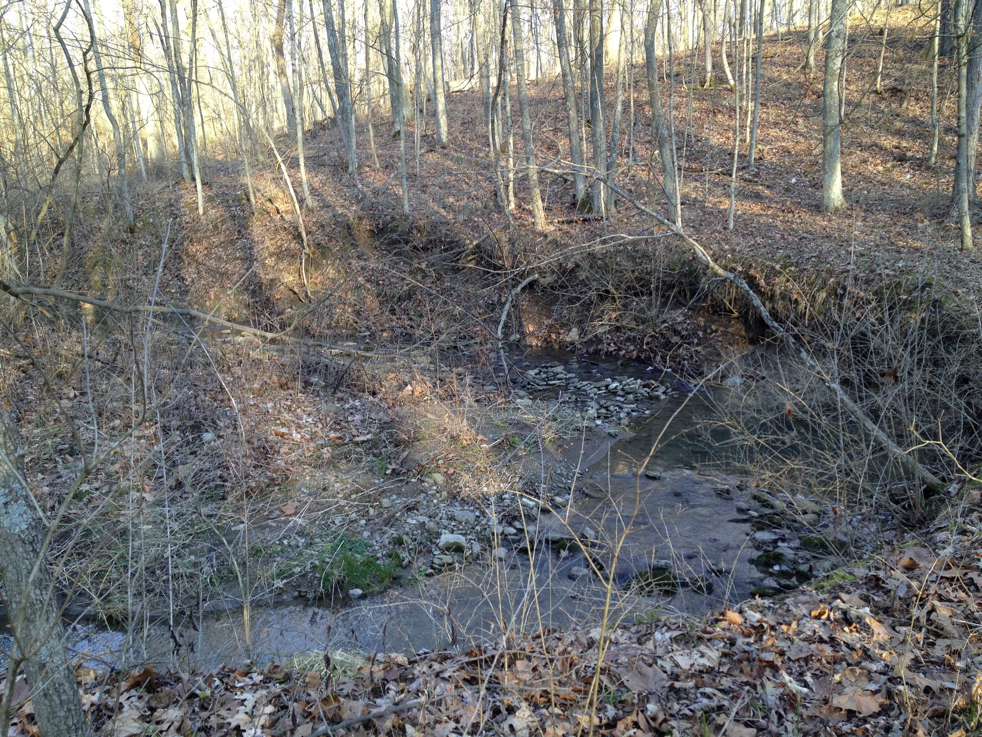 Full Size Image = 4062 K