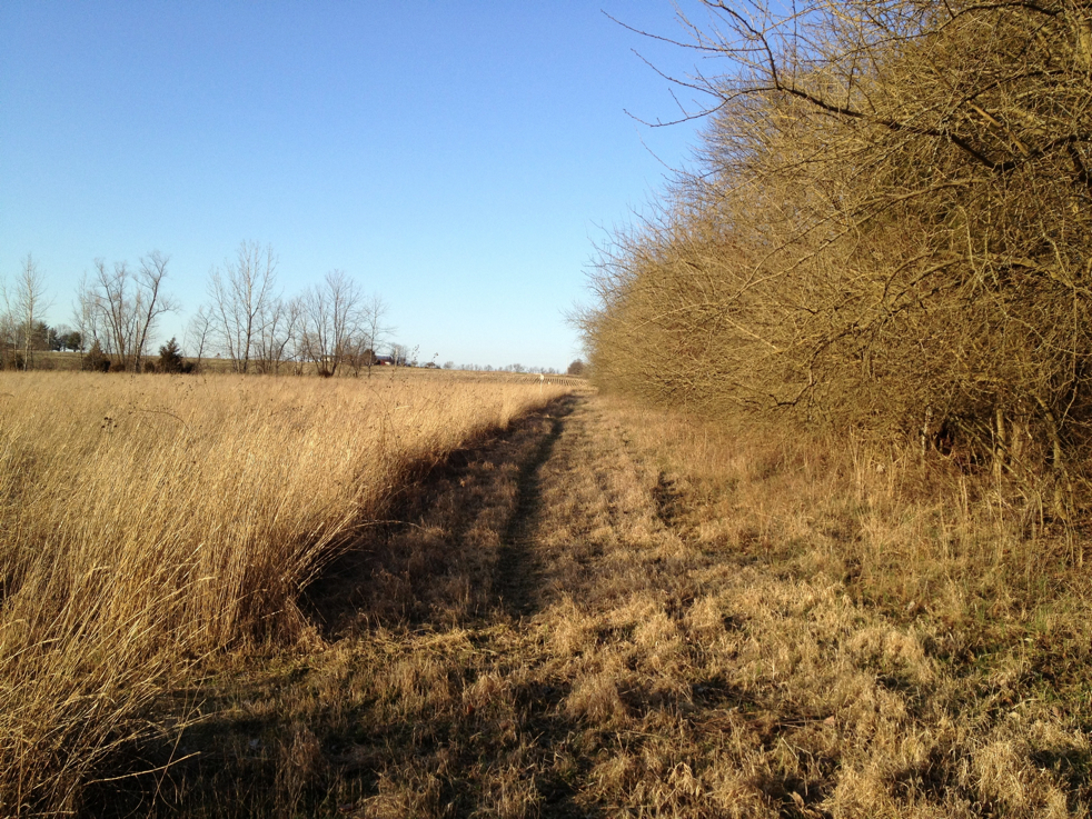 Full Size Image = 3618 K