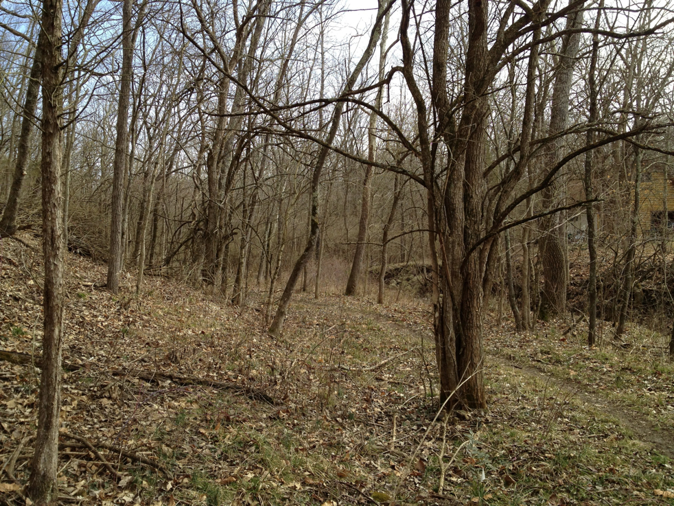 Full Size Image = 3162 K