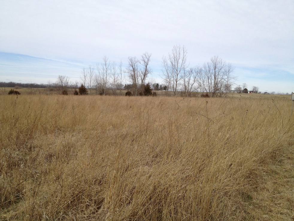 Full Size Image = 1919 K