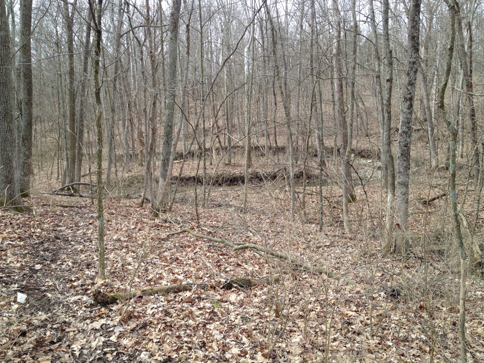 Full Size Image = 4200 K