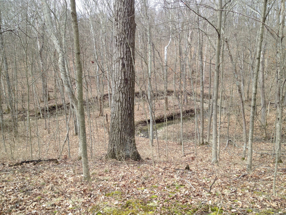 Full Size Image = 4256 K