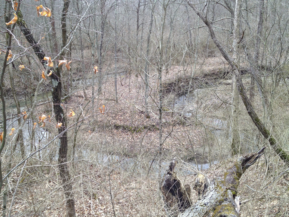 Full Size Image = 3464 K