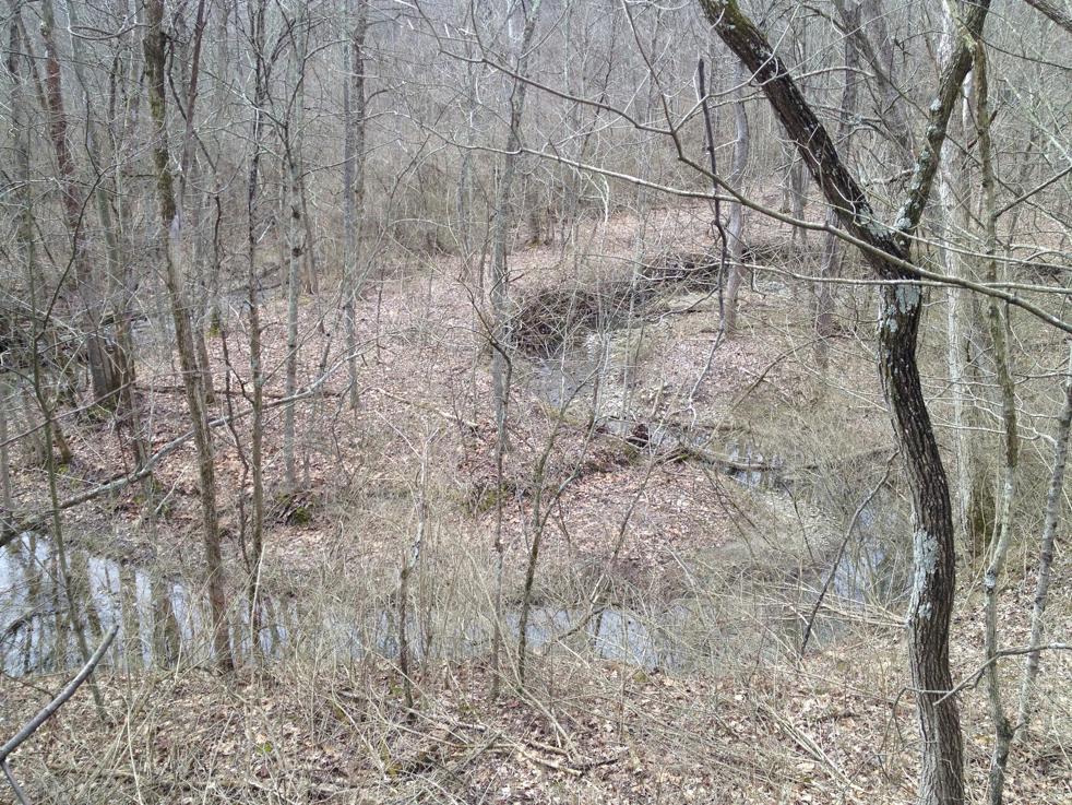 Full Size Image = 4244 K