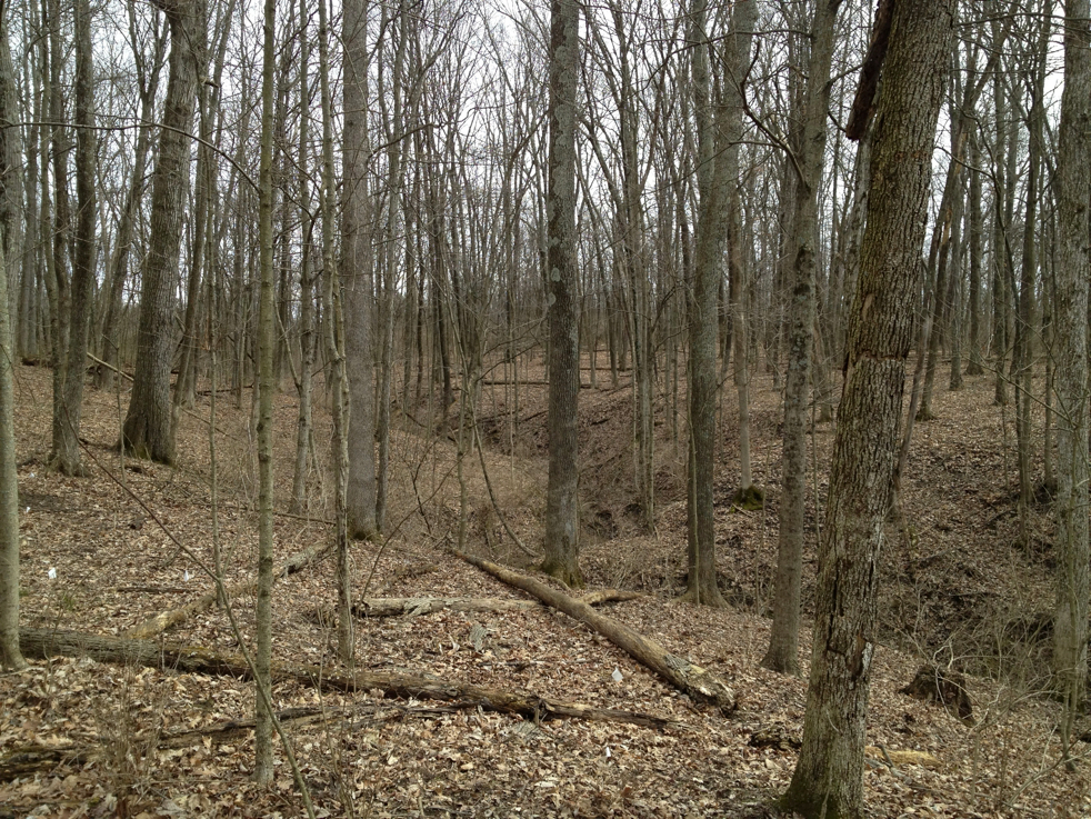 Full Size Image = 4286 K