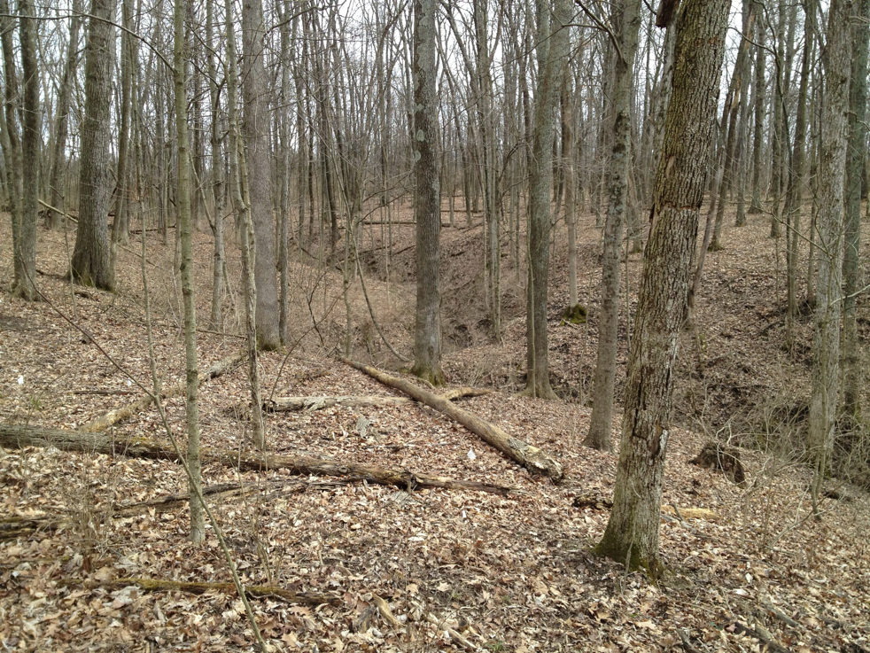 Full Size Image = 2906 K