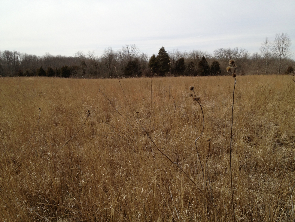 Full Size Image = 1964 K