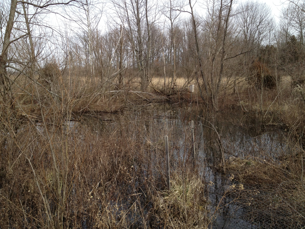 Full Size Image = 2839 K