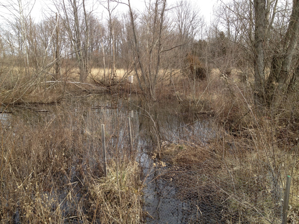 Full Size Image = 3160 K