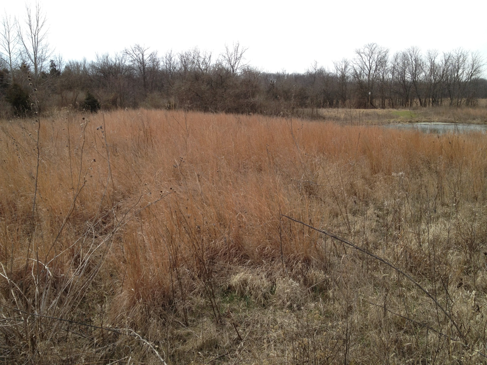 Full Size Image = 2070 K