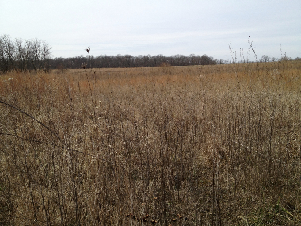 Full Size Image = 1952 K