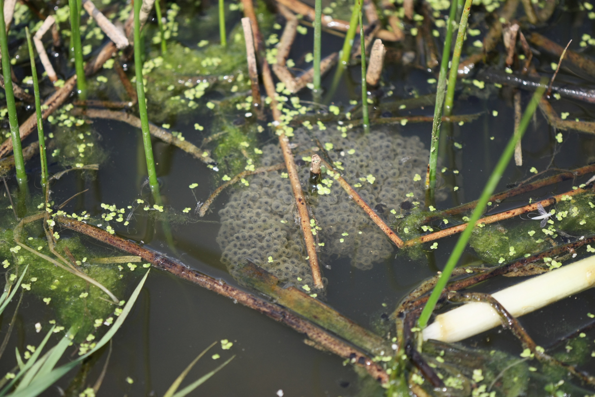 Full Size Image = 6361 K