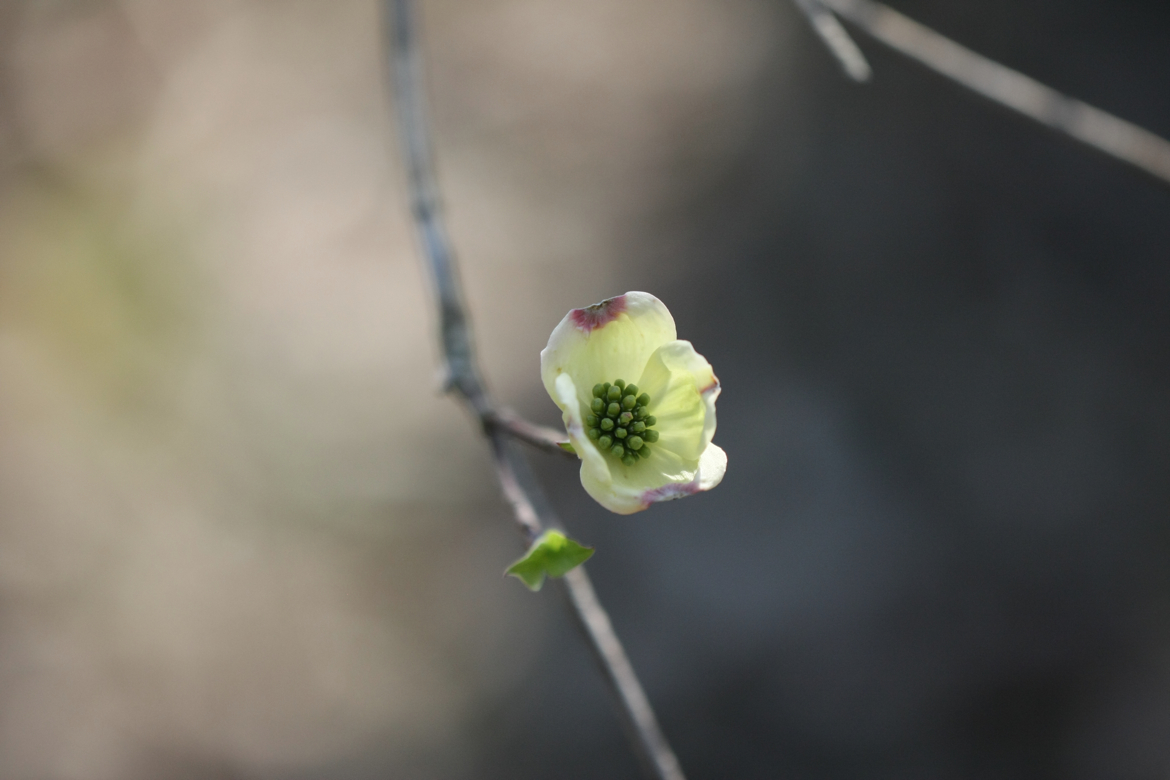 Full Size Image = 4341 K