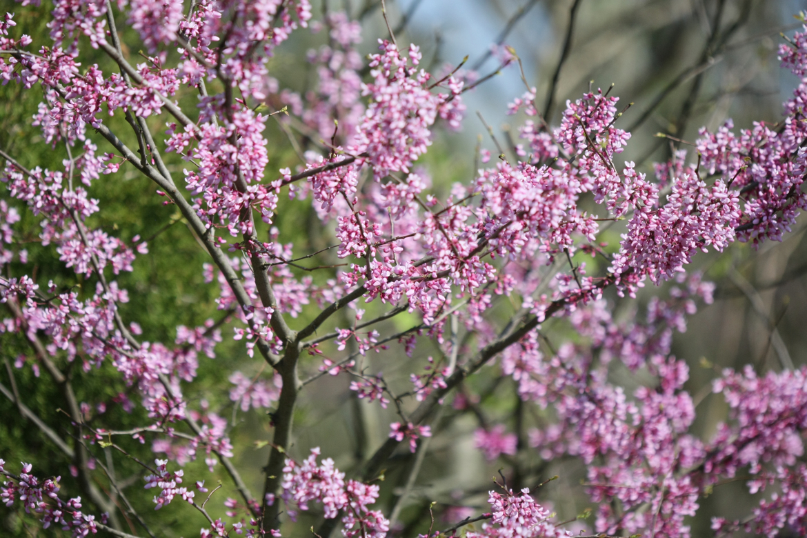 Full Size Image = 7381 K