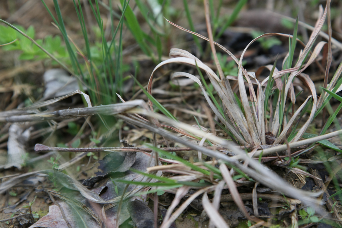 Full Size Image = 6230 K