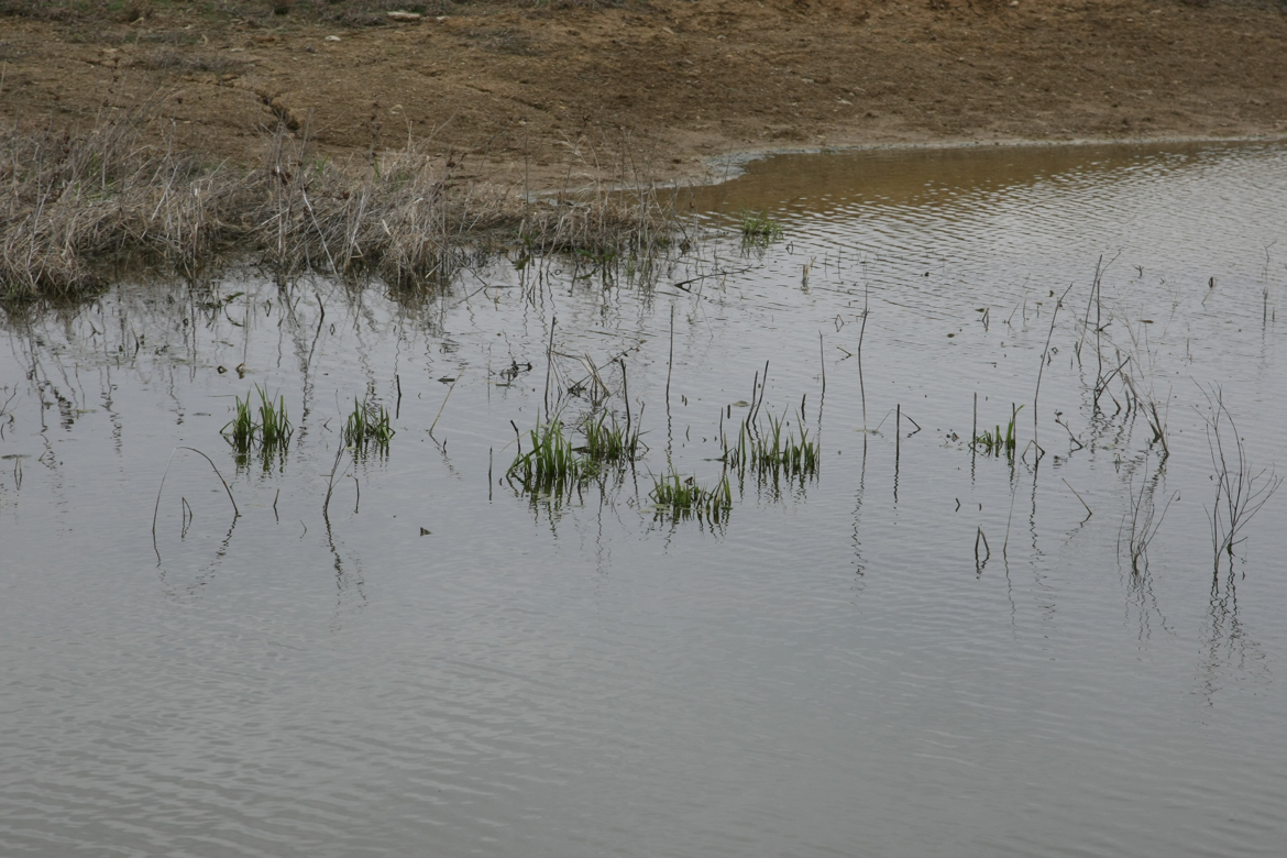 Full Size Image = 5917 K