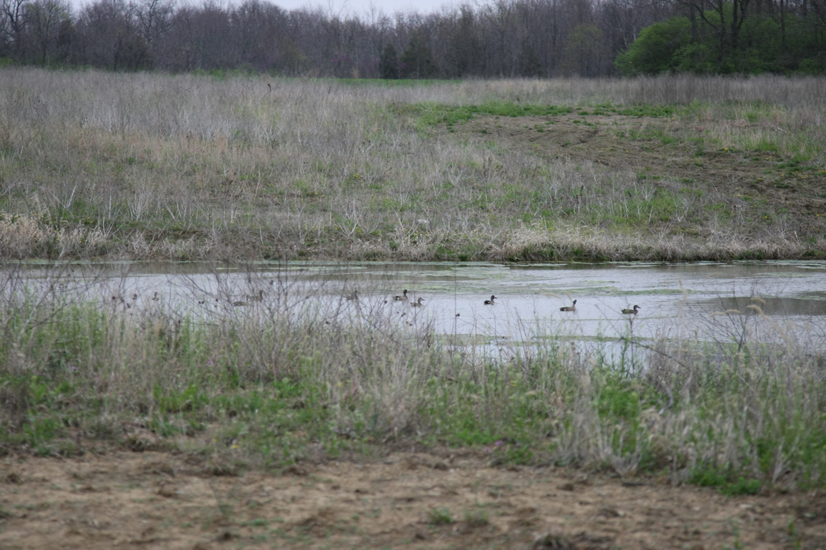 Full Size Image = 7245 K