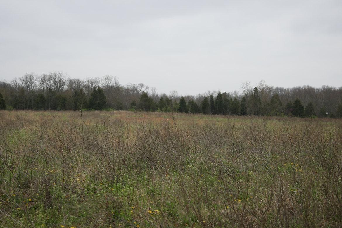 Full Size Image = 6811 K