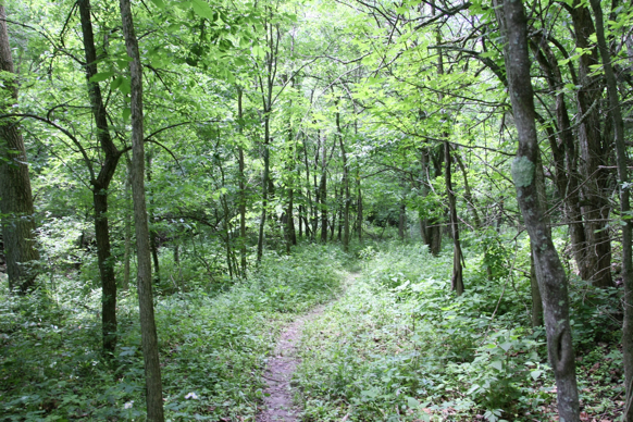 Full Size Image = 3787 K