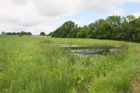 Full Size Image = 2687 K