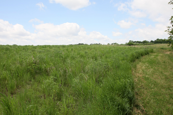 Full Size Image = 2431 K