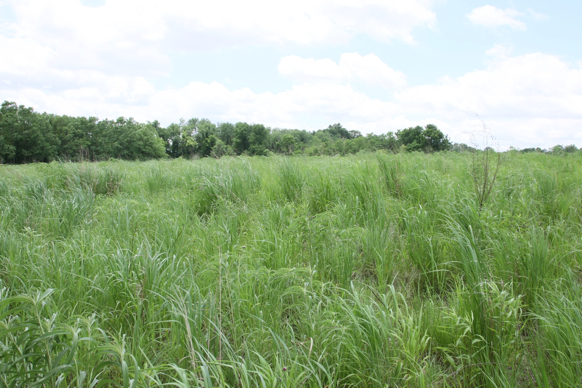 Full Size Image = 2742 K