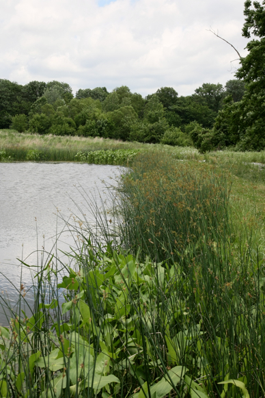 Full Size Image = 2459 K