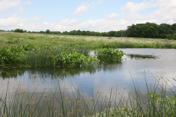 Full Size Image = 2408 K