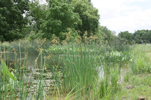 Full Size Image = 3190 K