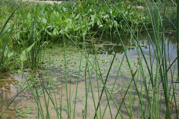 Full Size Image = 2873 K