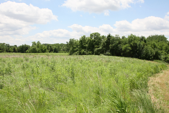 Full Size Image = 2913 K