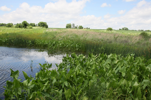 Full Size Image = 2498 K