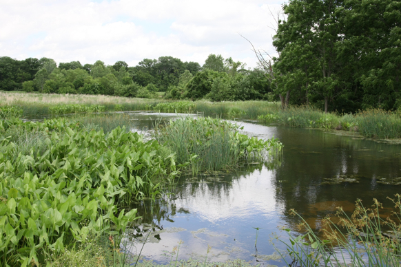 Full Size Image = 2734 K