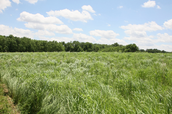 Full Size Image = 2910 K