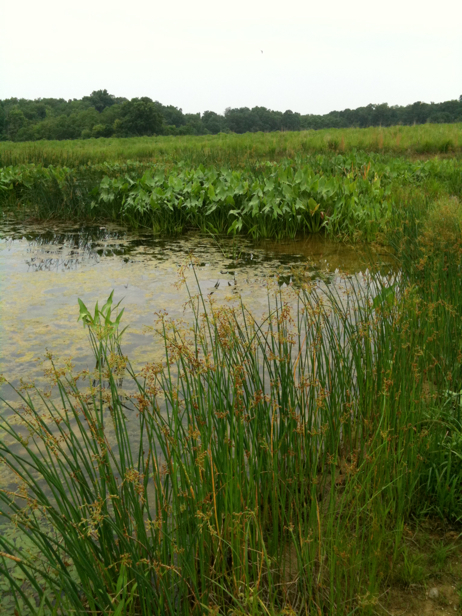 Full Size Image = 2914 K