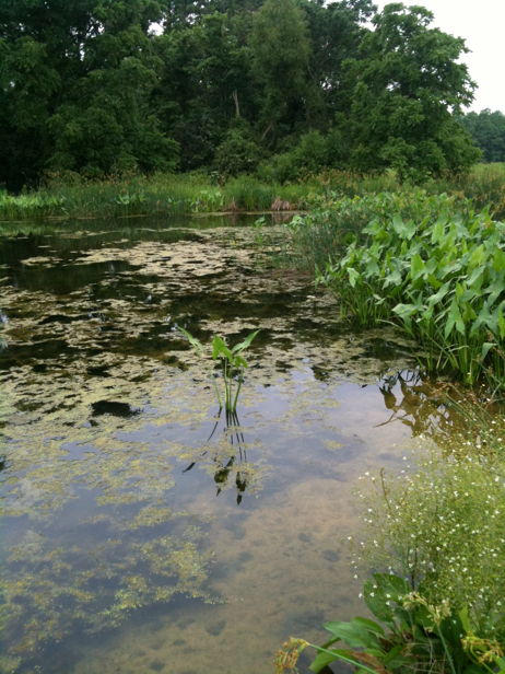 Full Size Image = 2967 K