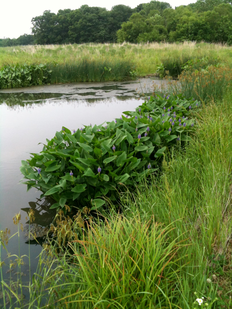 Full Size Image = 3270 K