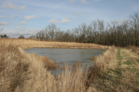 Full Size Image = 1925 K