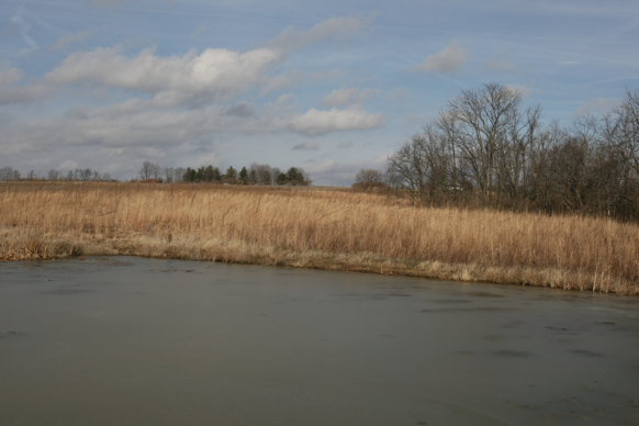 Full Size Image = 1286 K